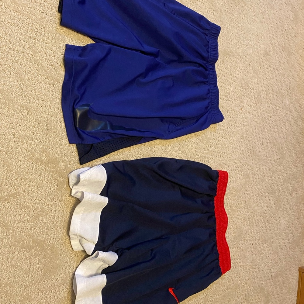 Men’s Nike Dry Fit shorts size large 2 pair!
